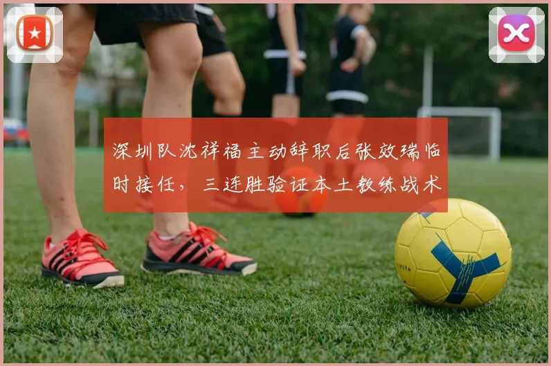 深圳队沈祥福主动辞职后张效瑞临时接任，三连胜验证本土教练战术执行力